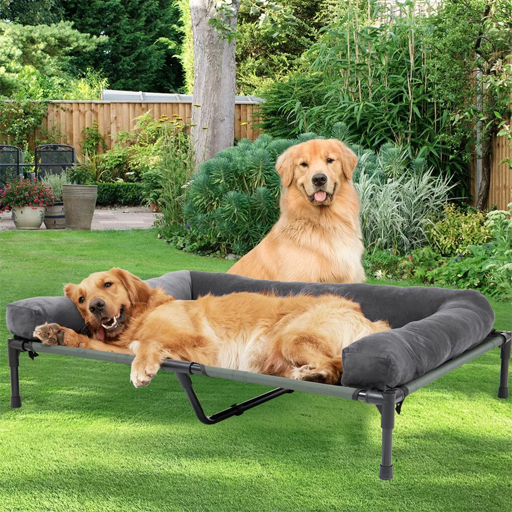 BINGOPAW Elevated Dog Bed Mesh - đánh giá và giá Outdoor Camping Dog Bed