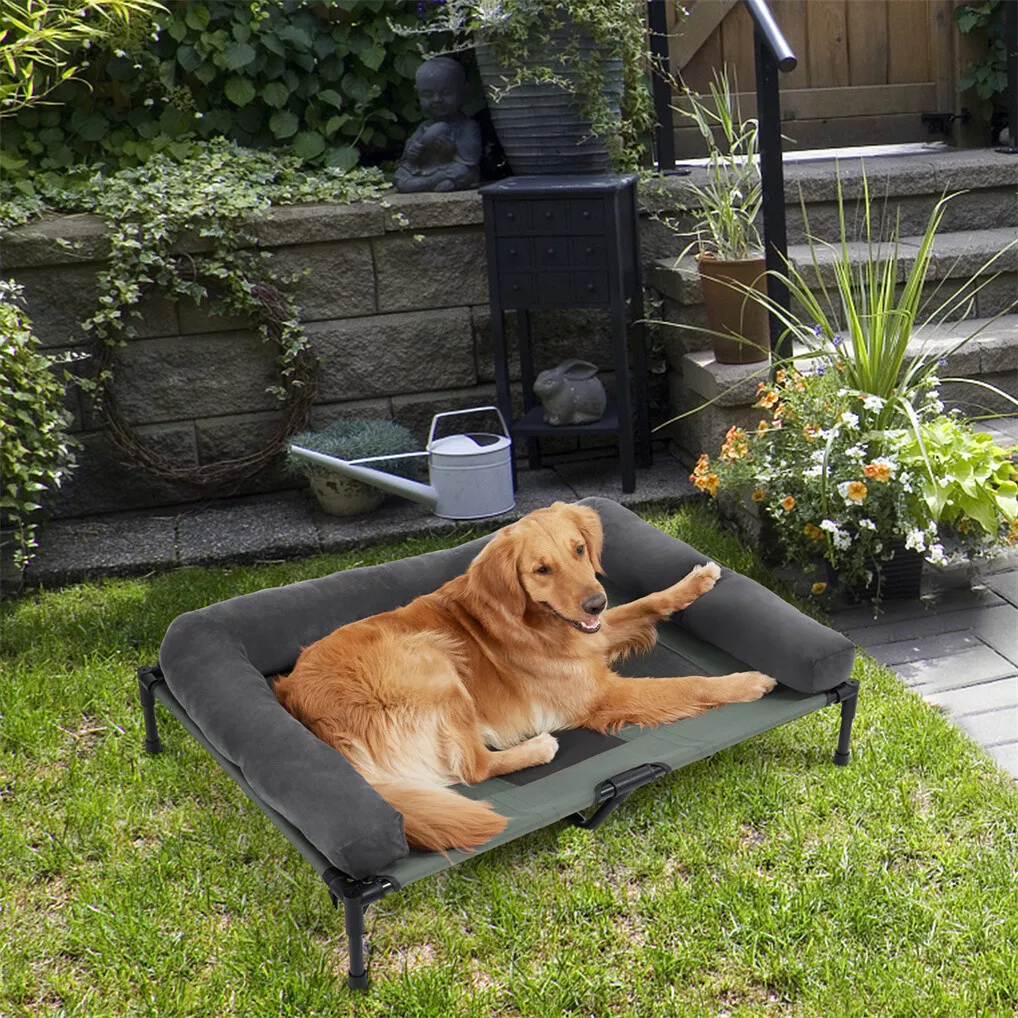 BINGOPAW Elevated Dog Bed Mesh - đánh giá và giá Outdoor Camping Dog Bed