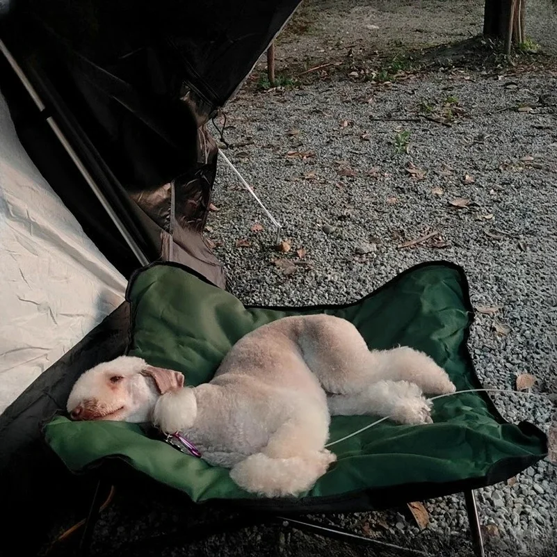 Outdoor Camping Foldable Pet B - đánh giá và giá Outdoor Camping Dog Bed